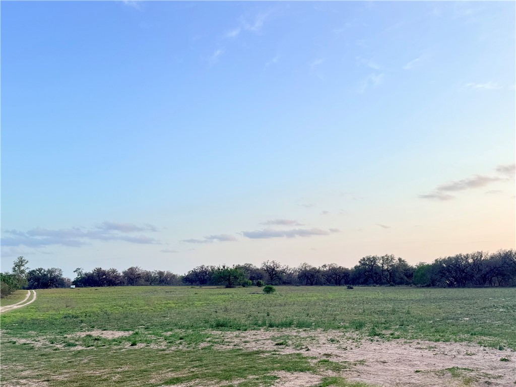490 Hernandez Road Poteet, TX 78065 - Photo 24 of 26