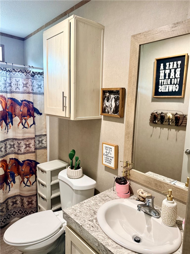 490 Hernandez Road Poteet, TX 78065 - Photo 8 of 26