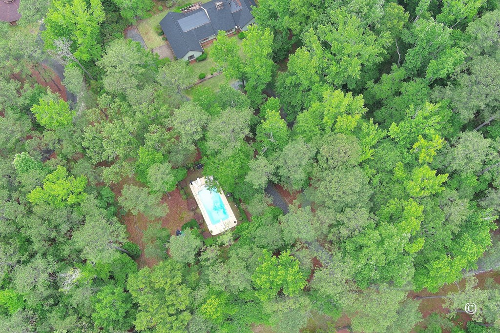 6927 Cartledge Road Box Springs, GA 31801 - Photo 38 of 38 Gallery Image 38