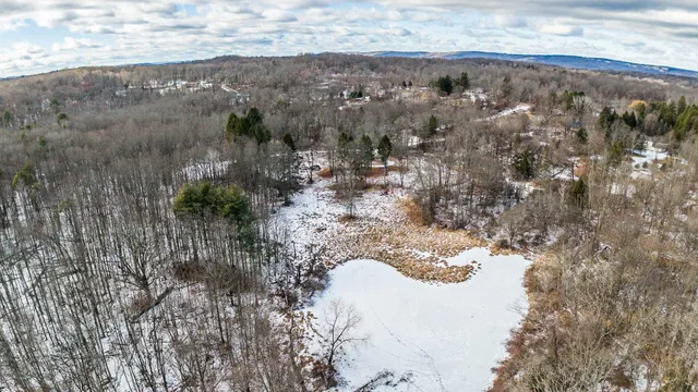 a view of a forest with mountains and lake