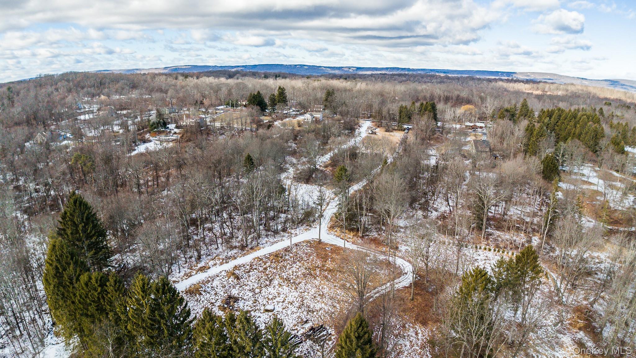 64 Seaman Road Circleville, NY 10919 - Photo 16 of 31 a view of a forest with mountains and green space