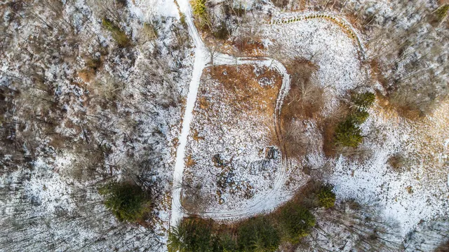 a view of a lake from a yard