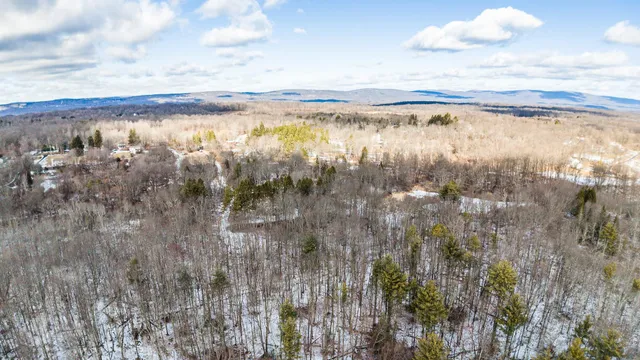 a view of a pathway with a yard