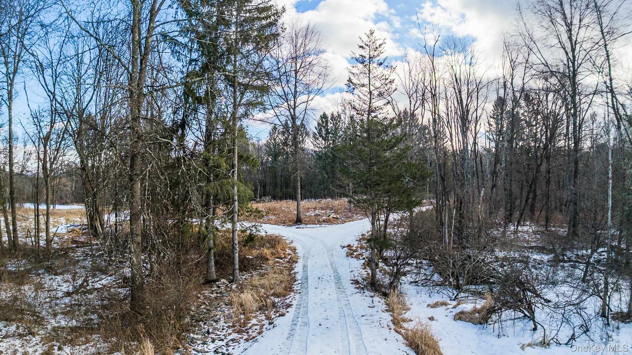 64 Seaman Road Circleville, NY 10919 - Photo 21 of 31 a view of a forest with lots of trees