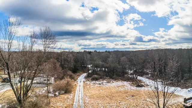 a view of a yard in front of a house