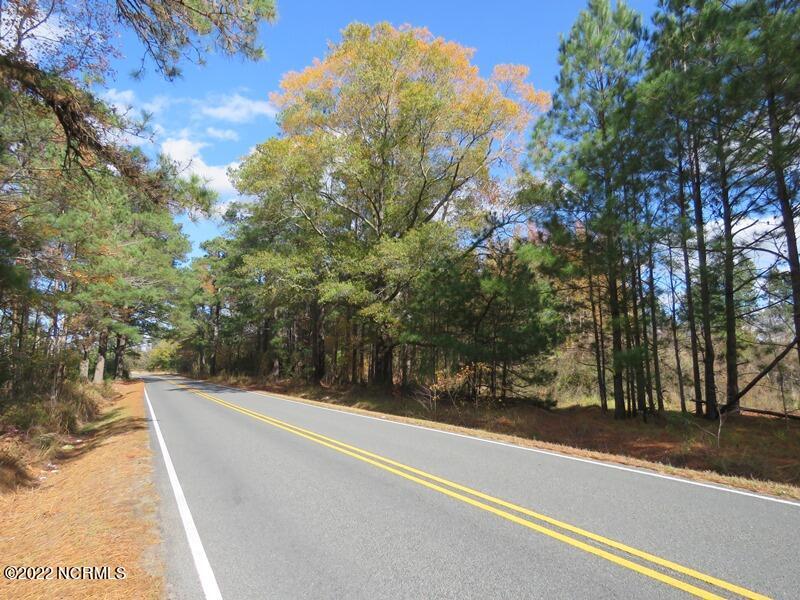 0 Lovette Road Lumberton, NC 28358 - Photo 13 of 39 IMG_6286