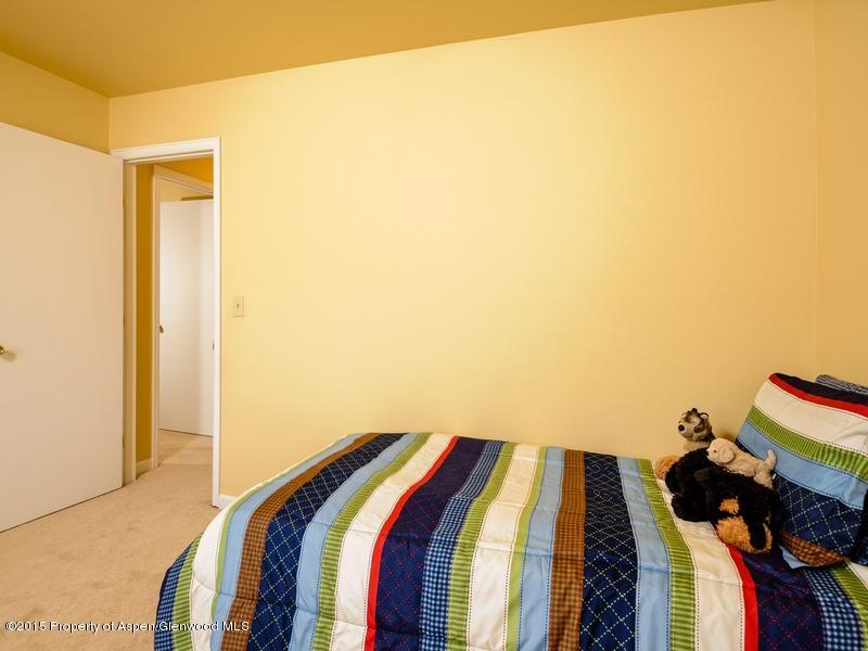 281 Badger Road Carbondale, CO 81623 - Photo 7 of 13 281 Badger_WEB002