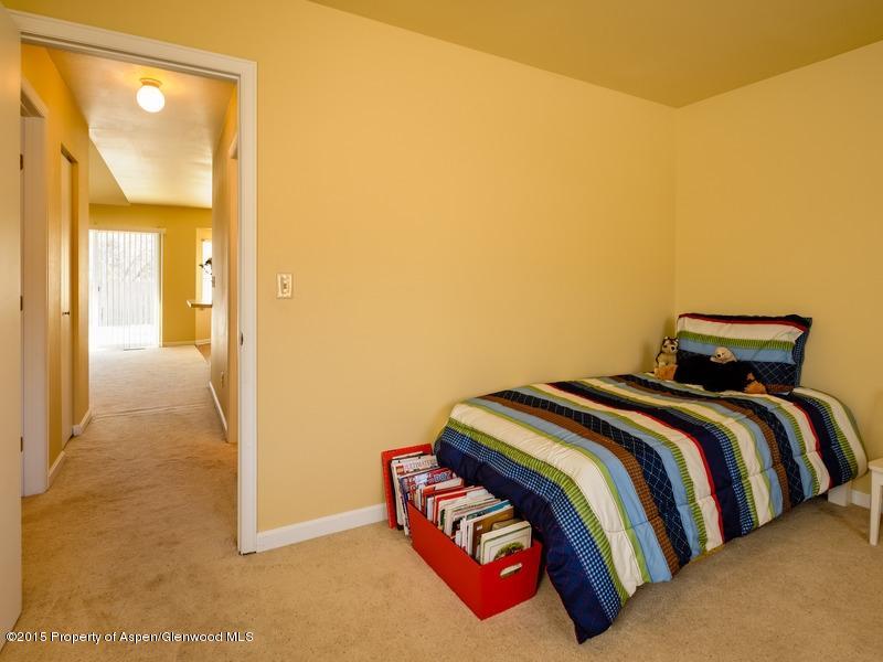 281 Badger Road Carbondale, CO 81623 - Photo 9 of 13 281 Badger_WEB009