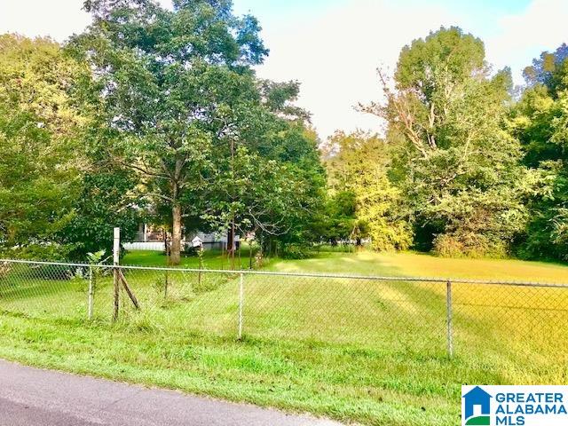 800 Philadelphia Church Road Piedmont, AL 36272 - Photo 19 of 20