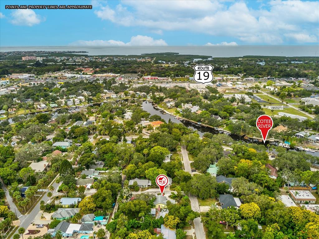 5638 Virginia Avenue New Port Richey, FL 34652 - Photo 30 of 39