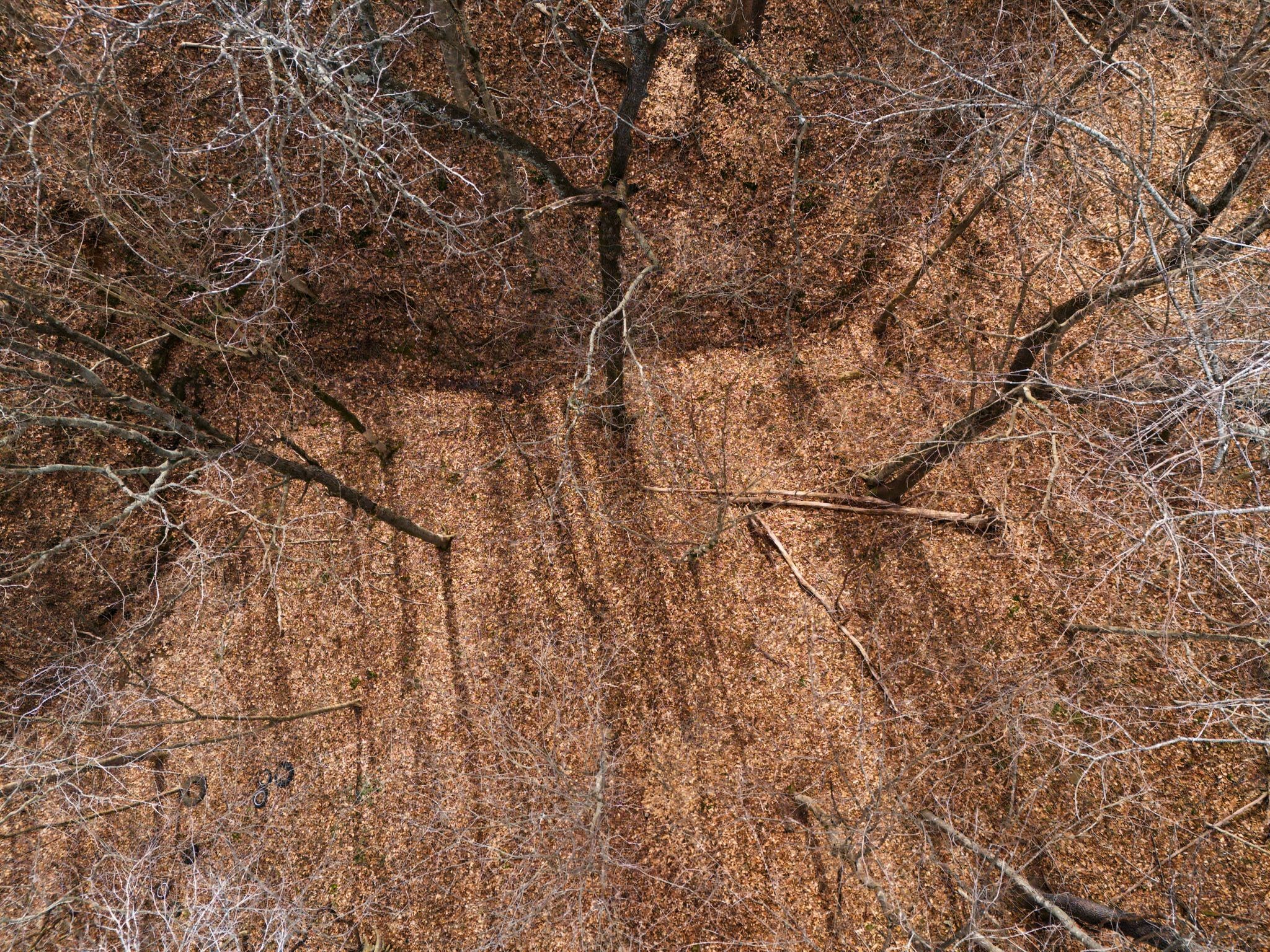 3039 Meadow Court Springfield, TN 37172 - Photo 40 of 42