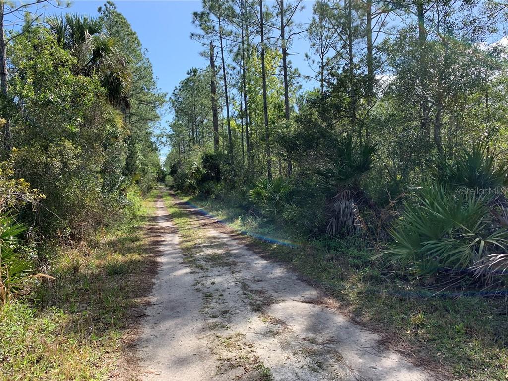 Center Grade Deland DeLand, FL 32724 - Photo 1 of 1