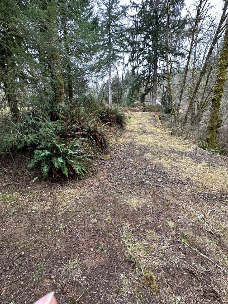 11-12 Big Trout Road Grand Ronde, OR 97347 - Photo 3 of 17 pic5_IMG_0813