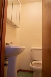 427 Marion Street Creighton, PA 15030 - Photo 16 of 20 a bathroom with a toilet and a sink