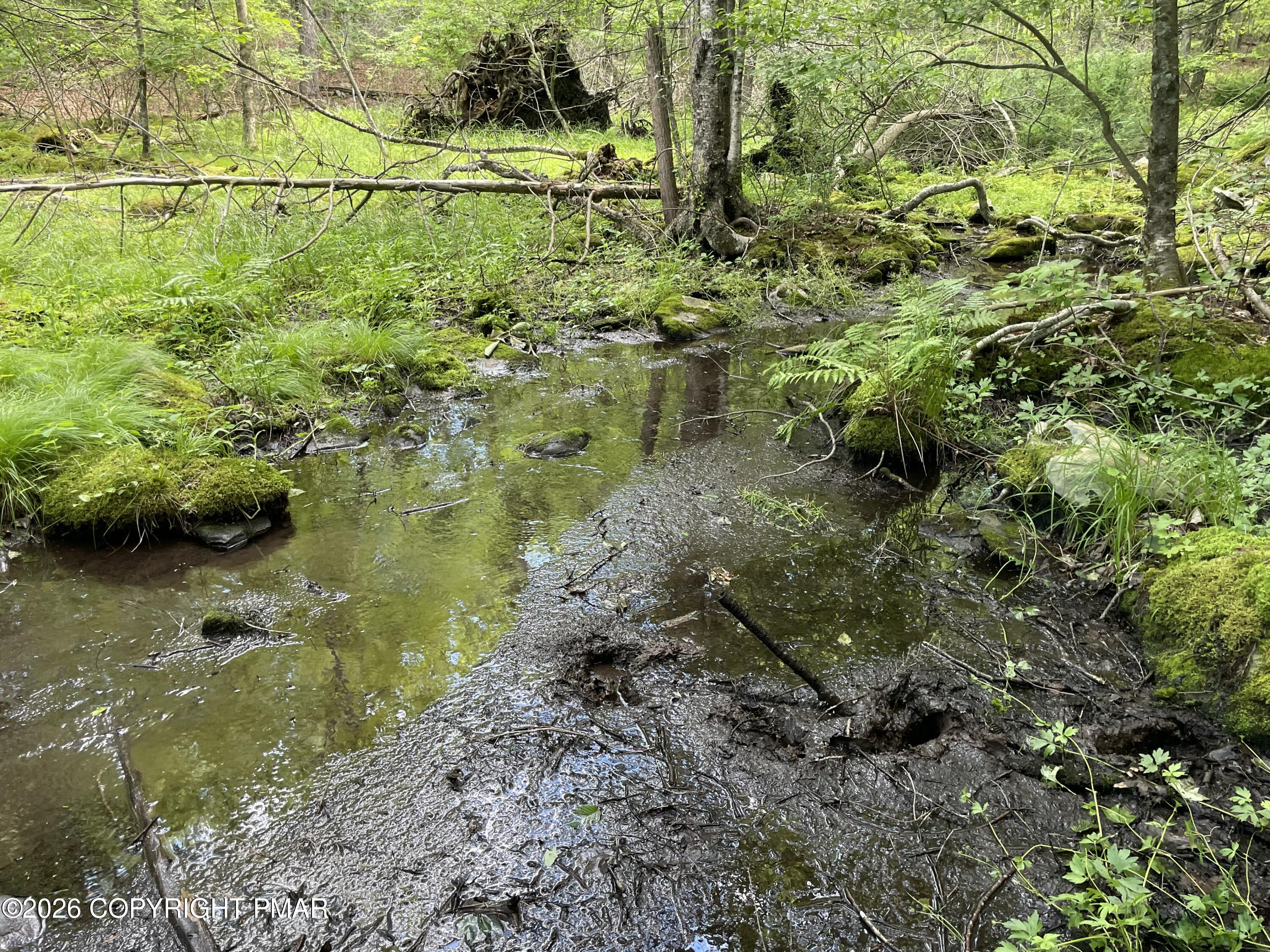 240 Mud Run Road Cresco, PA 18326 - Photo 6 of 7 Seasonal creek