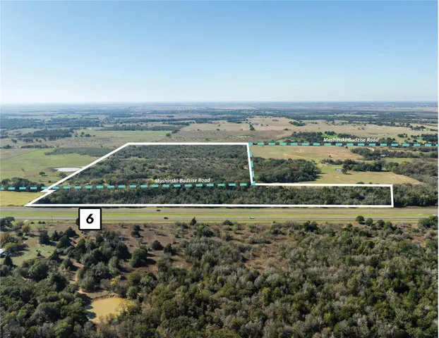 $771,552 | 0 Mushinski - Budzise Road, Bremond, TX 76629