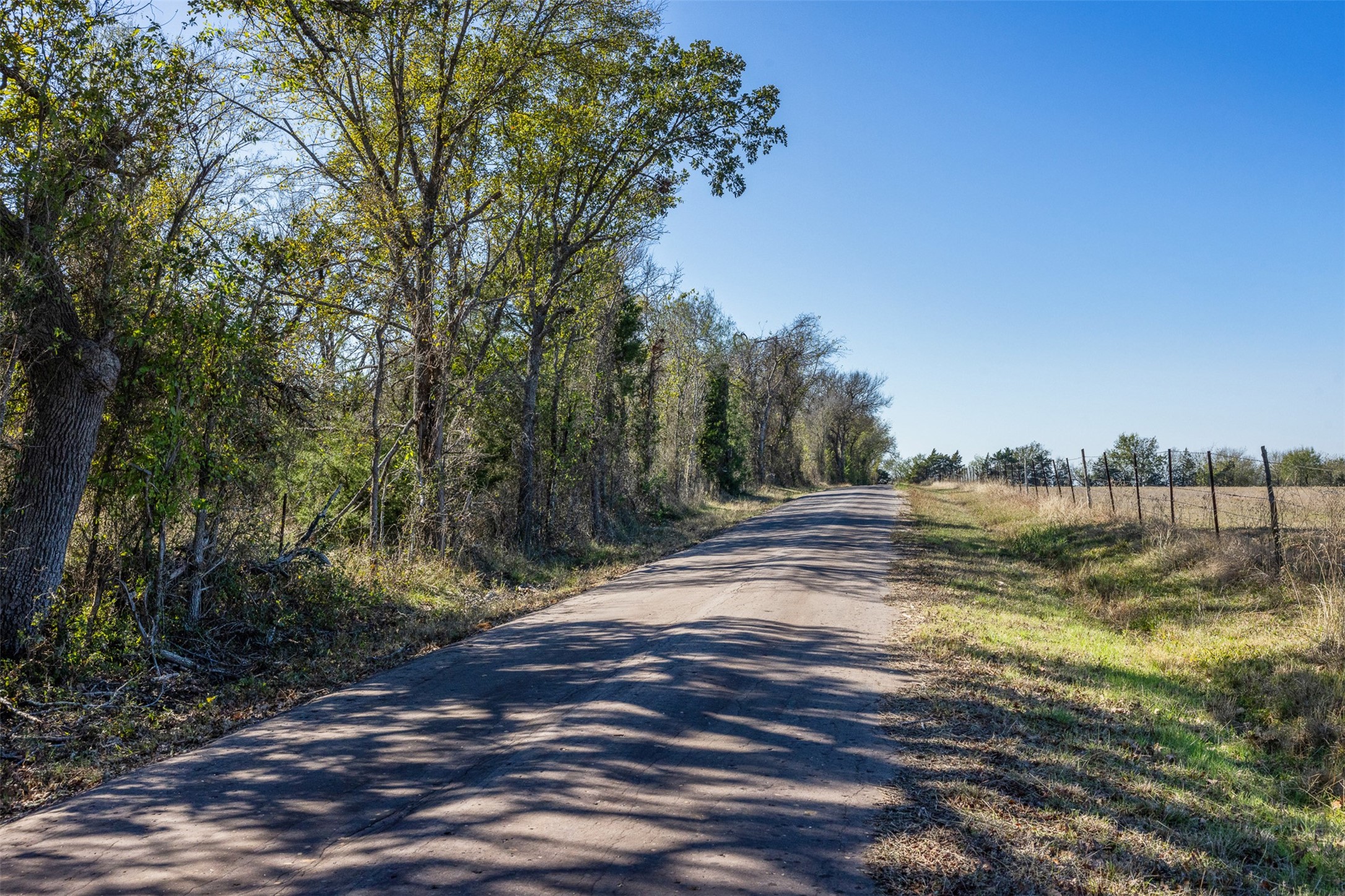 0 Mushinski - Budzise Road Bremond, TX 76629 - Photo 13 of 37