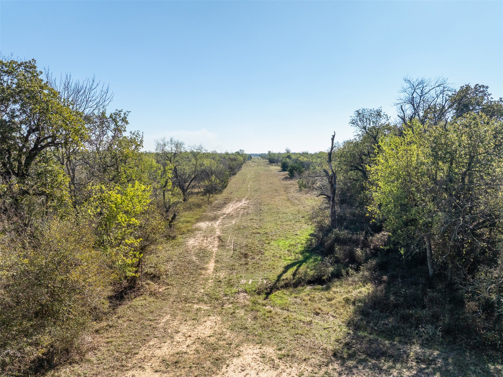0 Mushinski - Budzise Road Bremond, TX 76629 - Photo 19 of 37