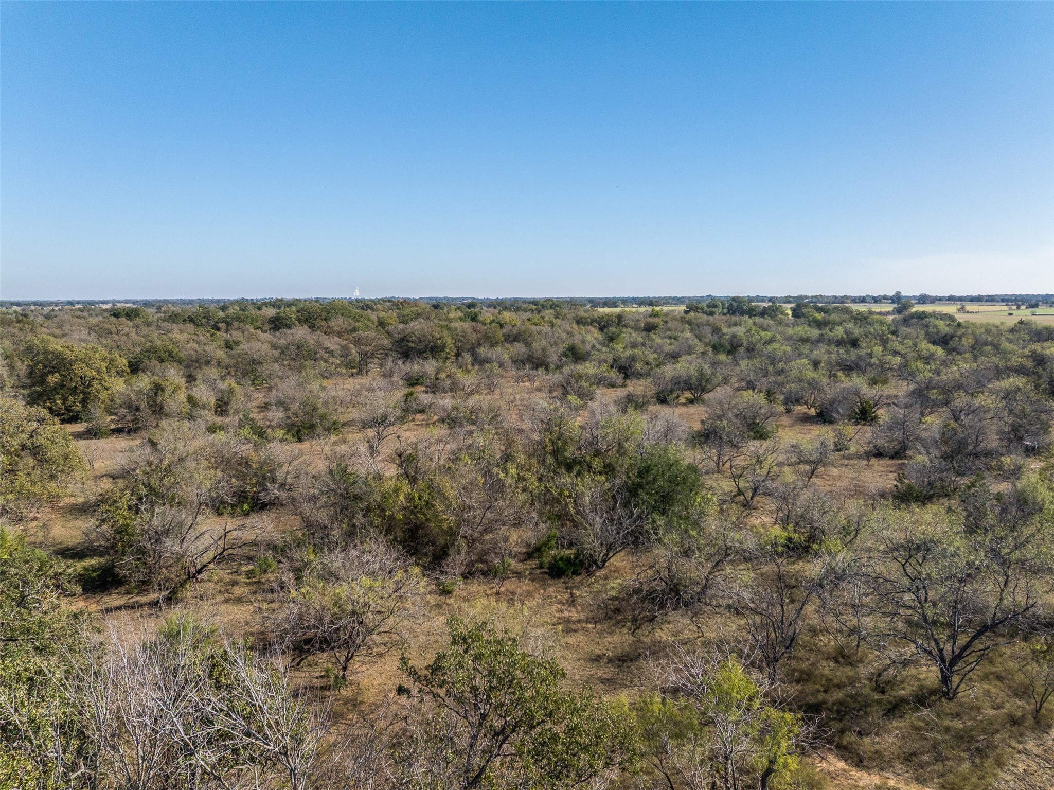 0 Mushinski - Budzise Road Bremond, TX 76629 - Photo 20 of 37