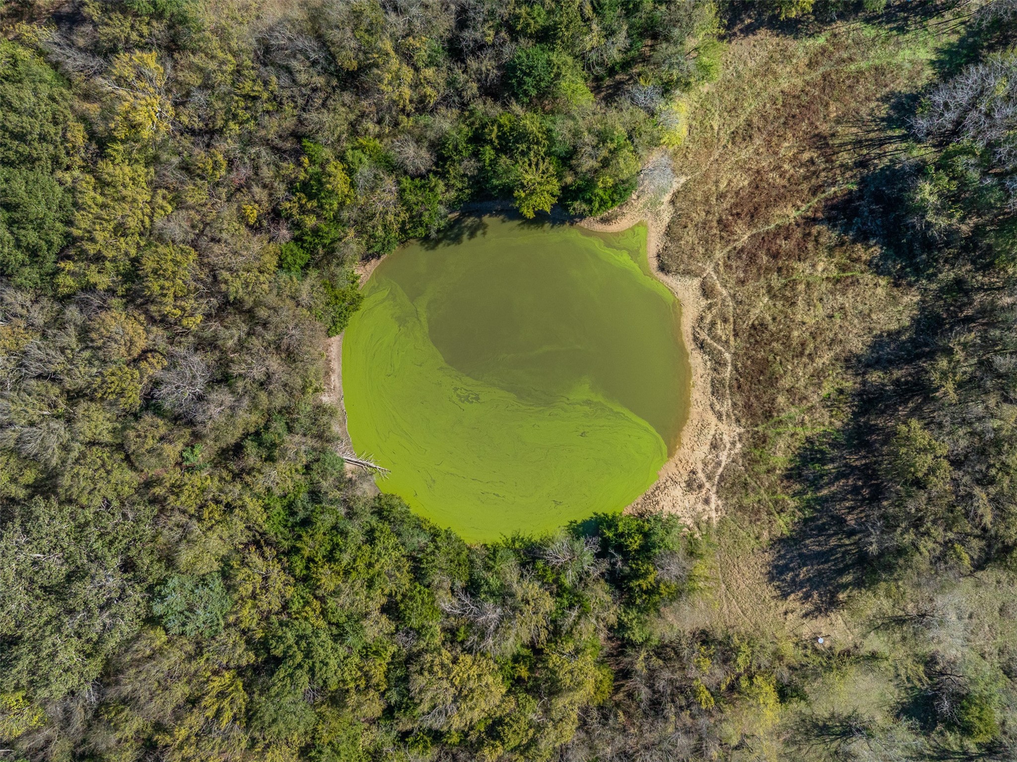 0 Mushinski - Budzise Road Bremond, TX 76629 - Photo 21 of 37