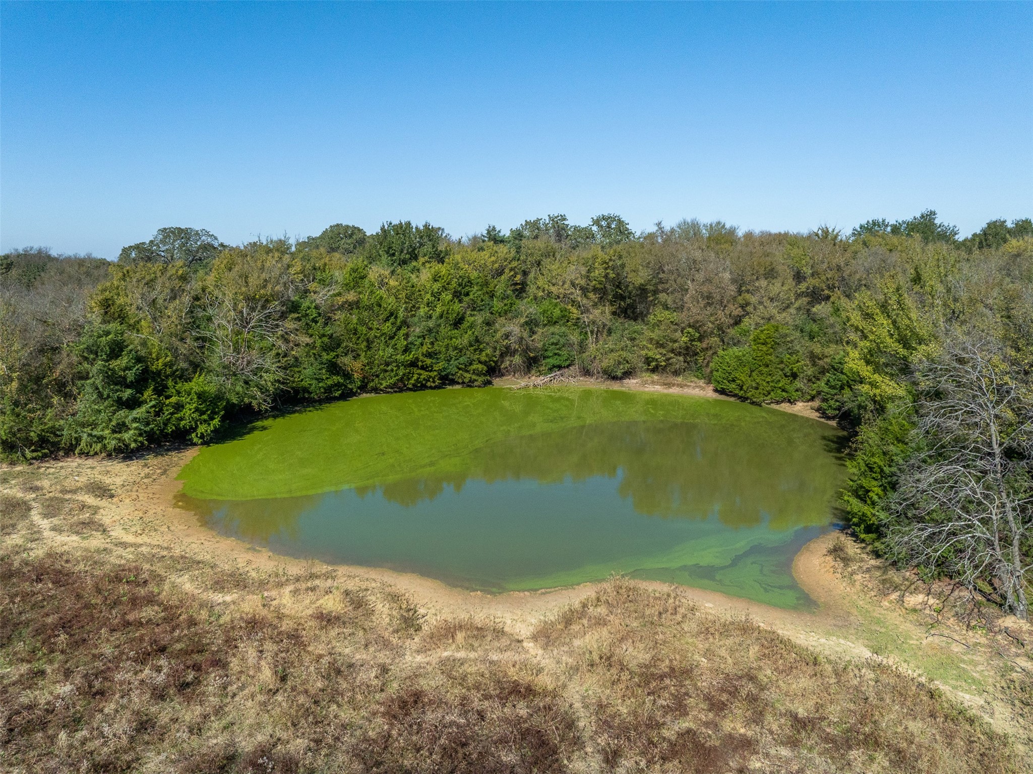 0 Mushinski - Budzise Road Bremond, TX 76629 - Photo 22 of 37