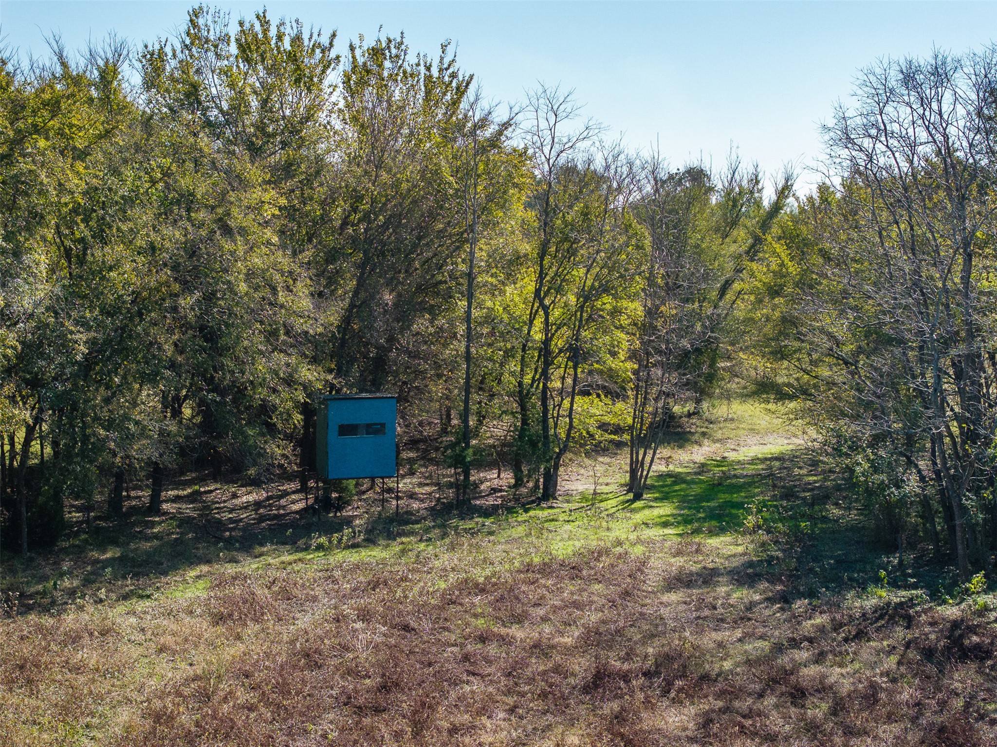 0 Mushinski - Budzise Road Bremond, TX 76629 - Photo 24 of 37