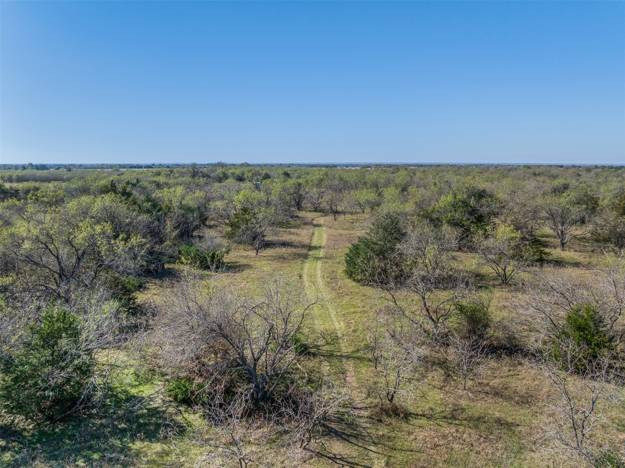 0 Mushinski - Budzise Road Bremond, TX 76629 - Photo 25 of 37