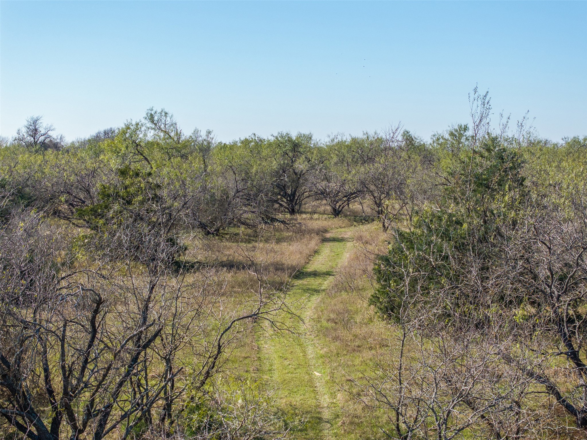 0 Mushinski - Budzise Road Bremond, TX 76629 - Photo 27 of 37