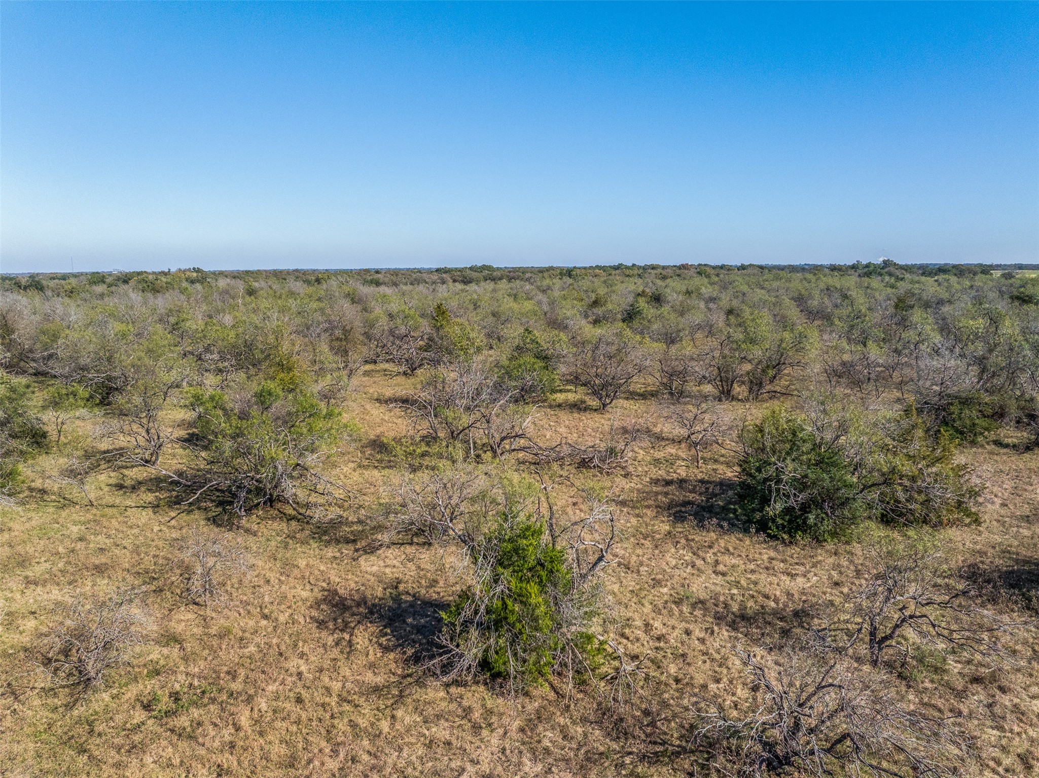 0 Mushinski - Budzise Road Bremond, TX 76629 - Photo 33 of 37