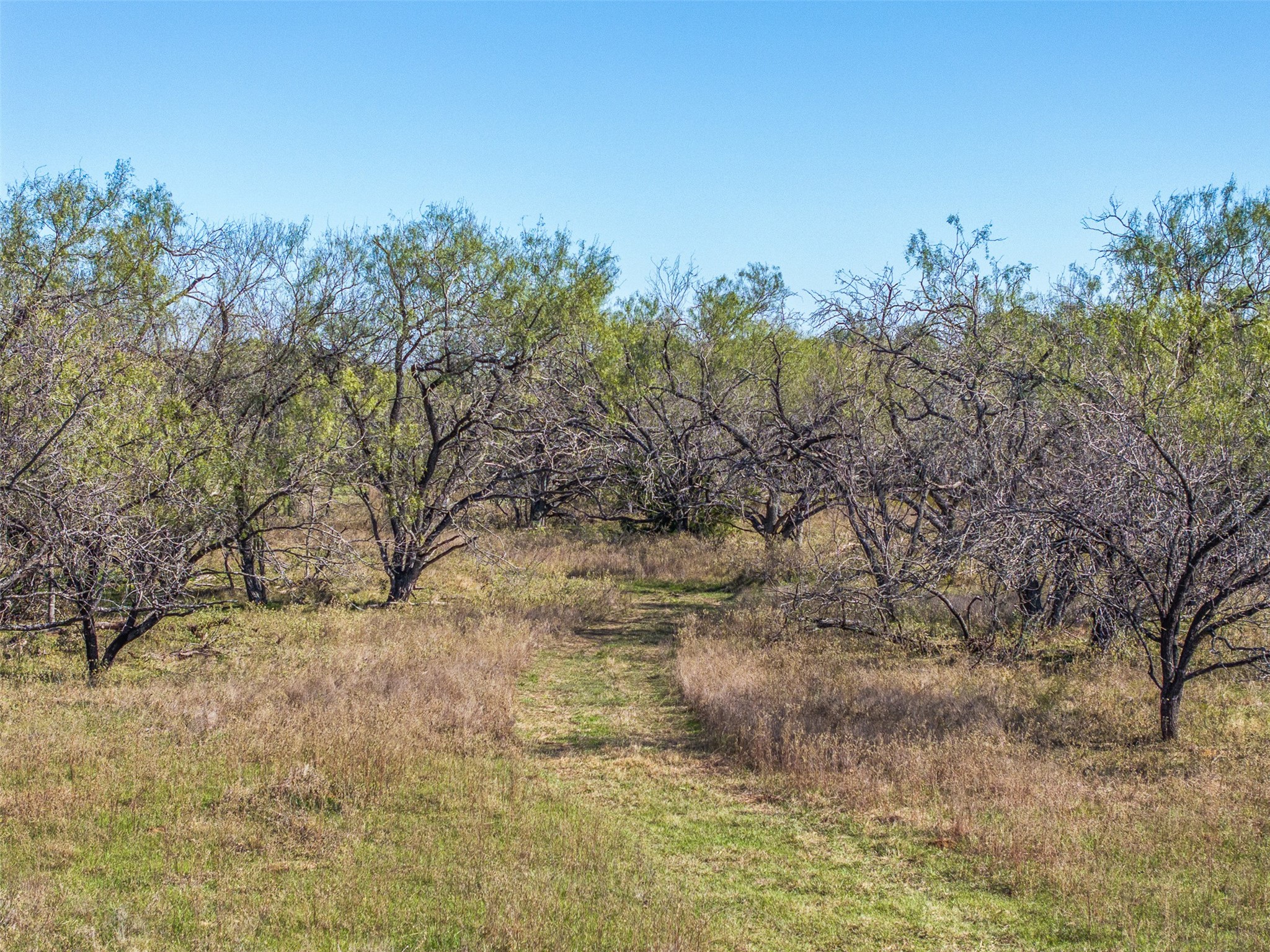 0 Mushinski - Budzise Road Bremond, TX 76629 - Photo 34 of 37