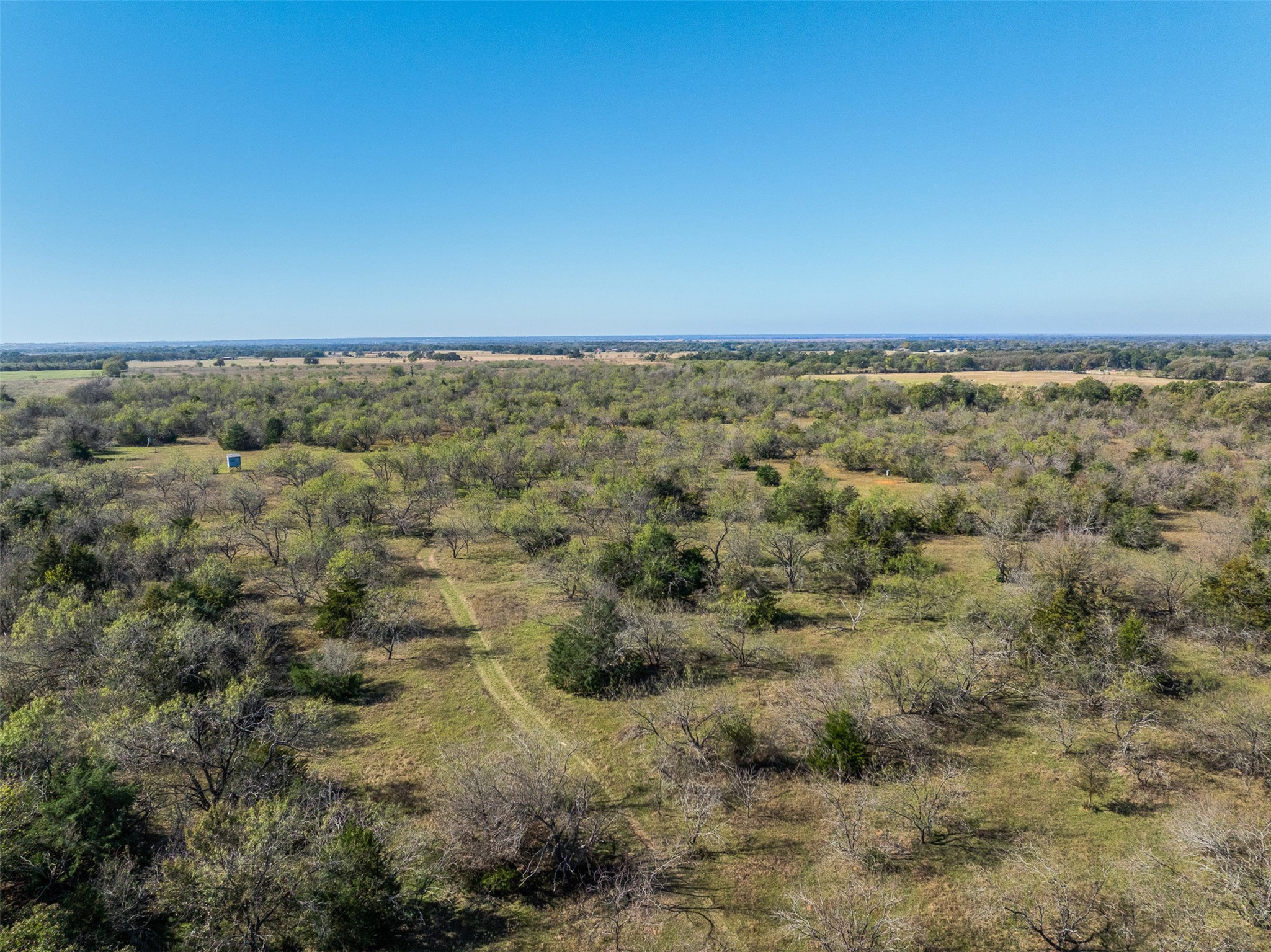 0 Mushinski - Budzise Road Bremond, TX 76629 - Photo 4 of 37