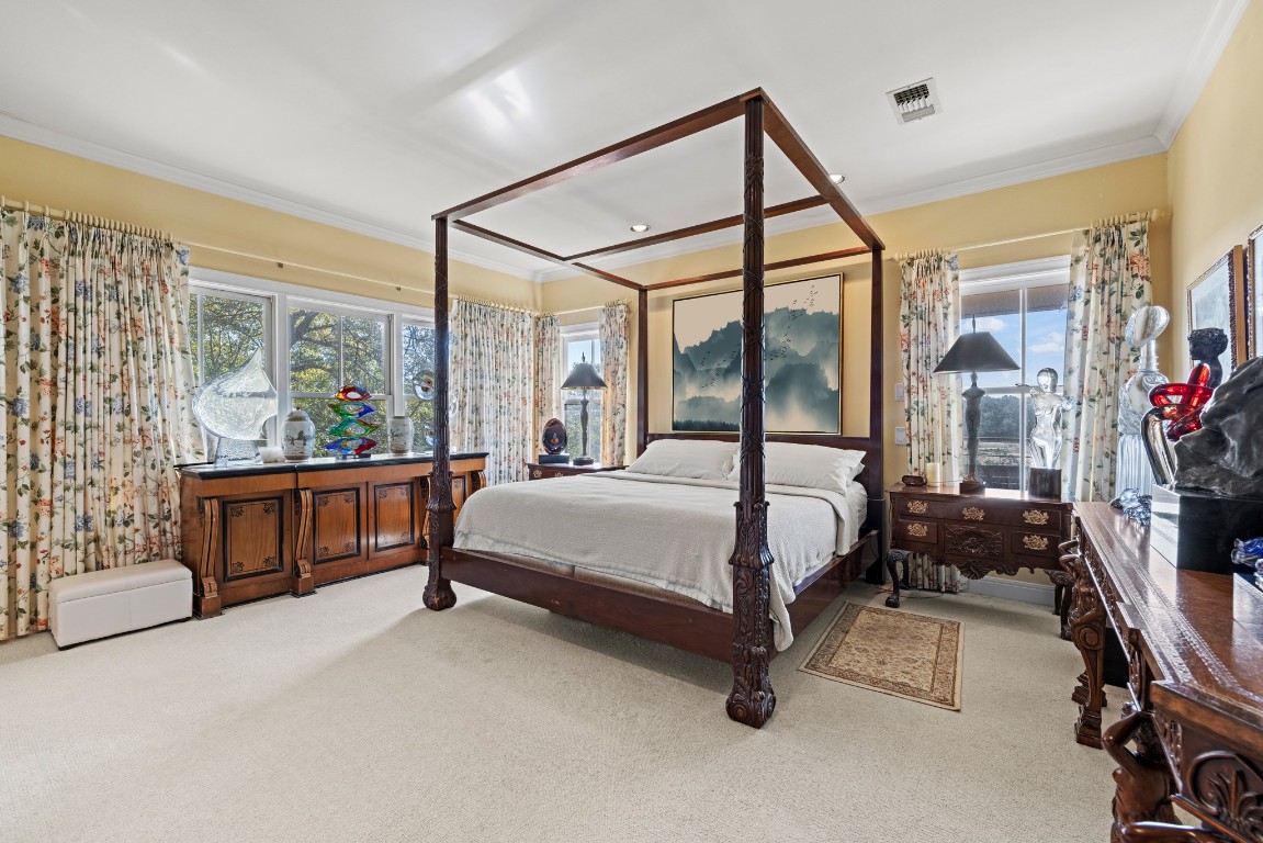 5801 Mount Gainor Road Wimberley, TX 78676 - Photo 18 of 40 Bedroom with carpet flooring, ornamental molding, and multiple windows