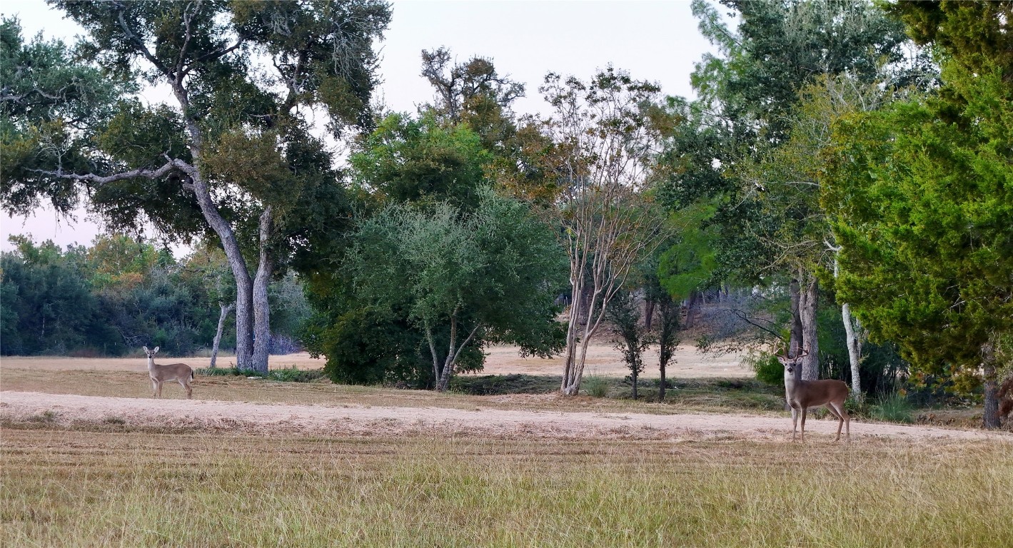 5801 Mount Gainor Road Wimberley, TX 78676 - Photo 27 of 40 View of yard with a view of countryside