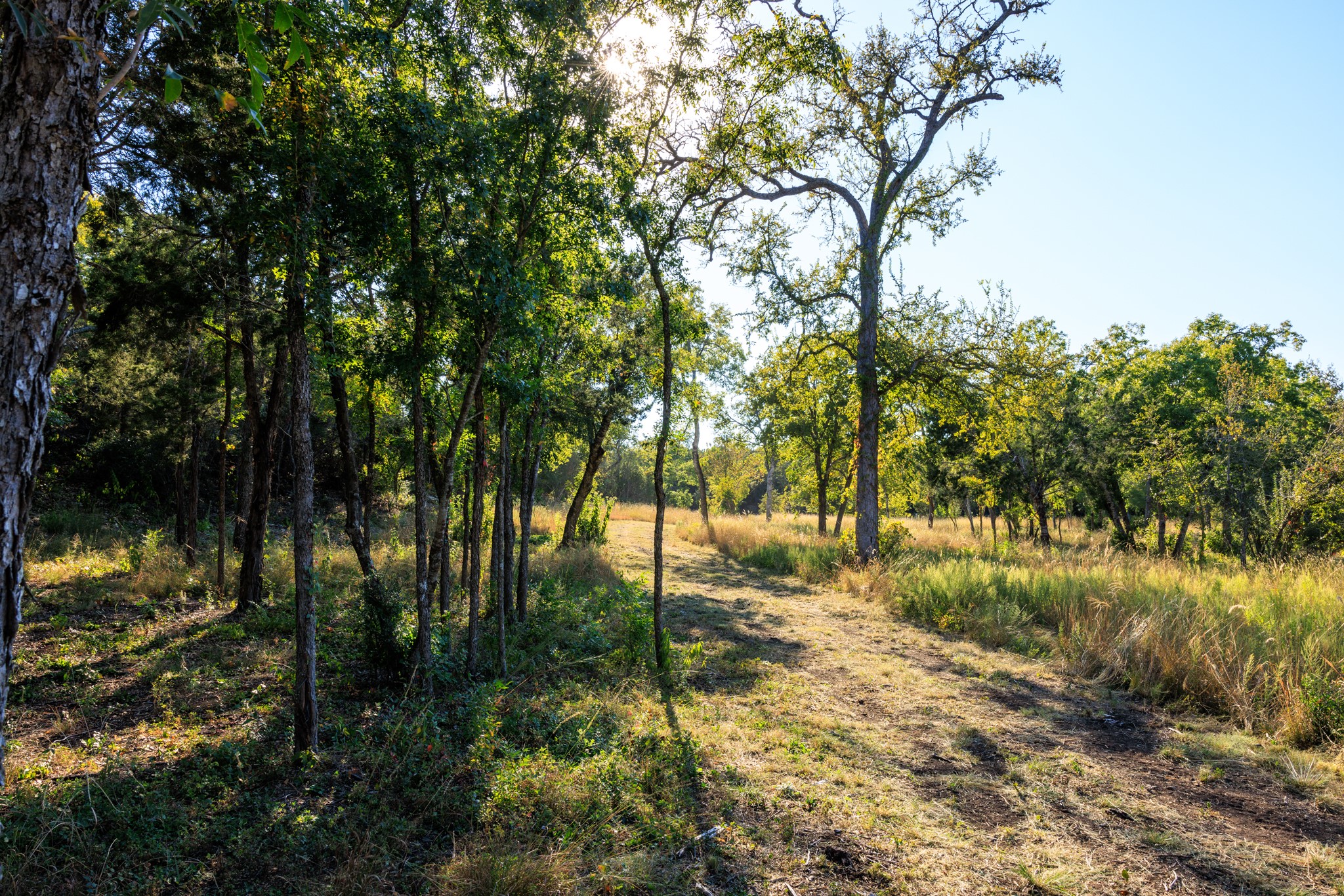 5801 Mount Gainor Road Wimberley, TX 78676 - Photo 30 of 40 a view of backyard with green space