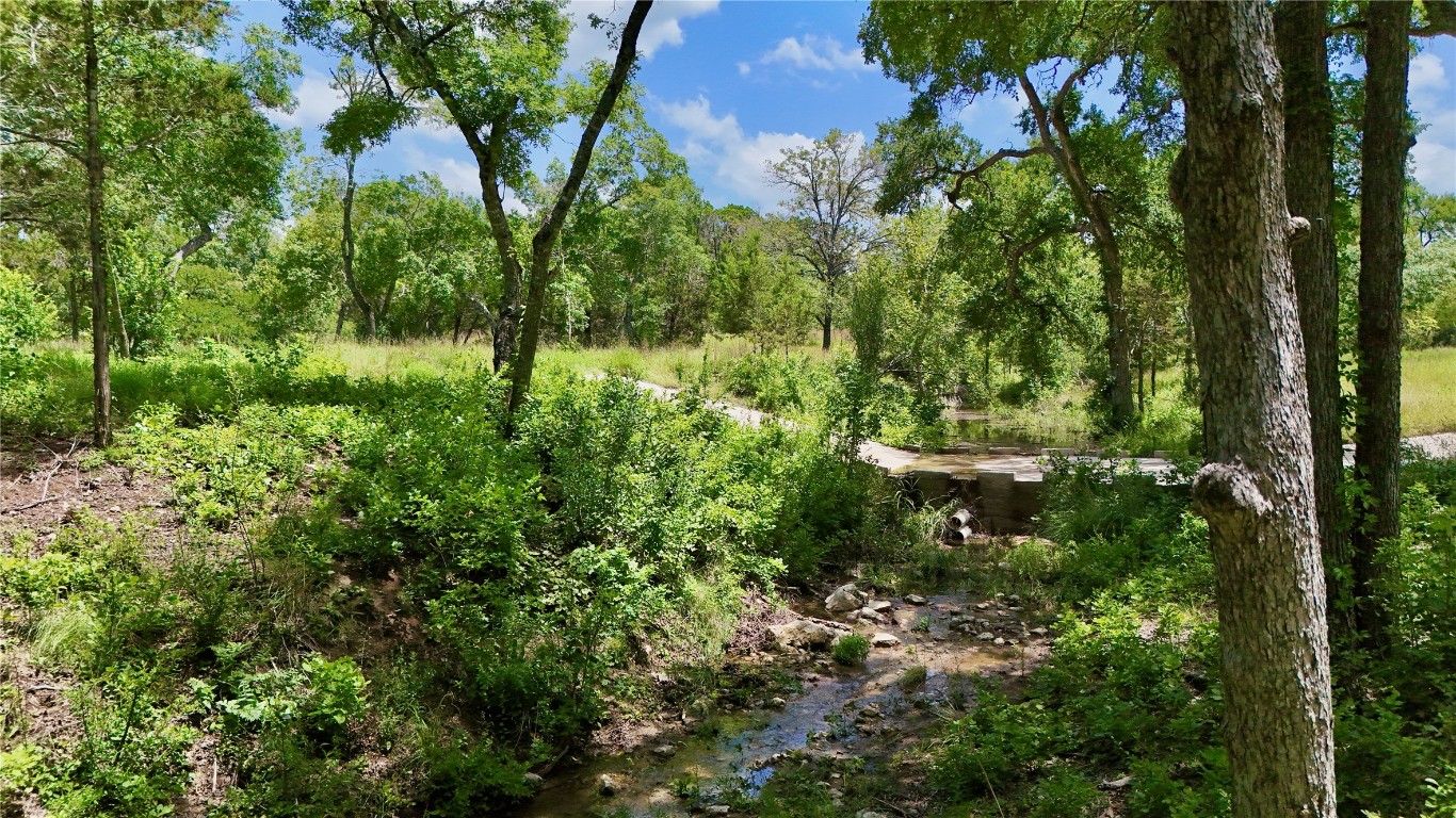 5801 Mount Gainor Road Wimberley, TX 78676 - Photo 36 of 40 View of tree filled area