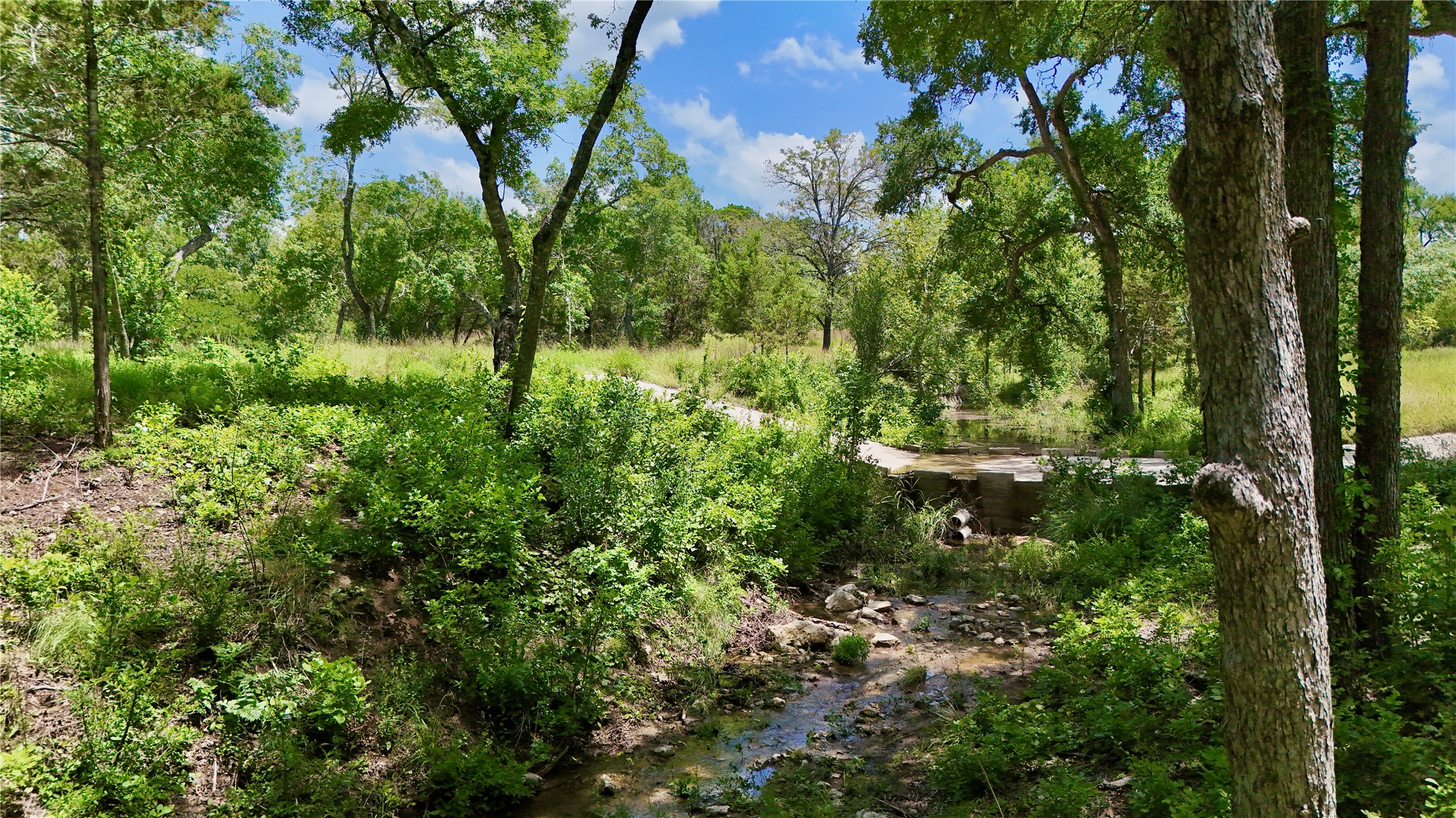 5801 Mount Gainor Road Wimberley, TX 78676 - Photo 36 of 40 a view of a garden with a tree