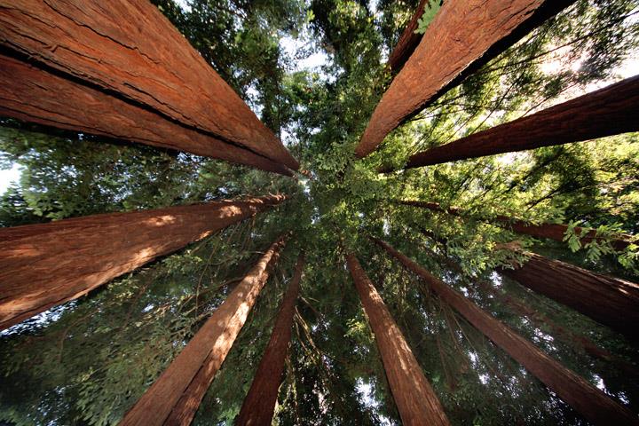 260 Pebble Beach Drive Aptos, CA 95003 - Photo 33 of 35