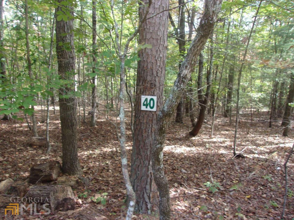 0 Squirrel Hunting Road, Unit 40 Ellijay, GA 30536 - Photo 1 of 1 a view of a trees and yard