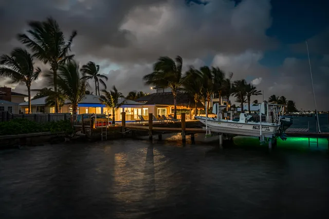 a view of a house with potted plants
