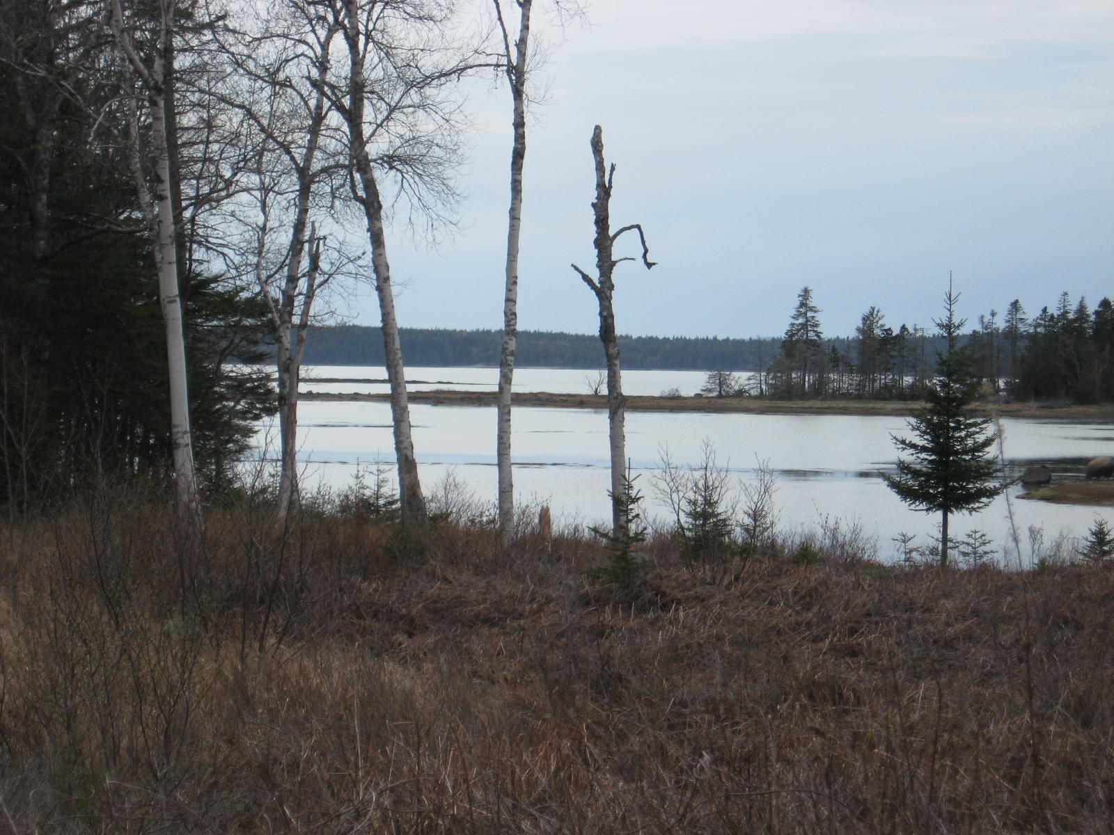 164 Cape Split Road Addison, ME 04606 - Photo 5 of 14 IMG_0004