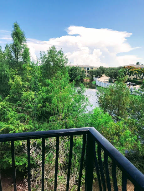3810 Northwest 5th Terrace Boca Raton, FL 33431 - Photo 9 of 20 VIEW FROM LIVING ROOM TERRACE