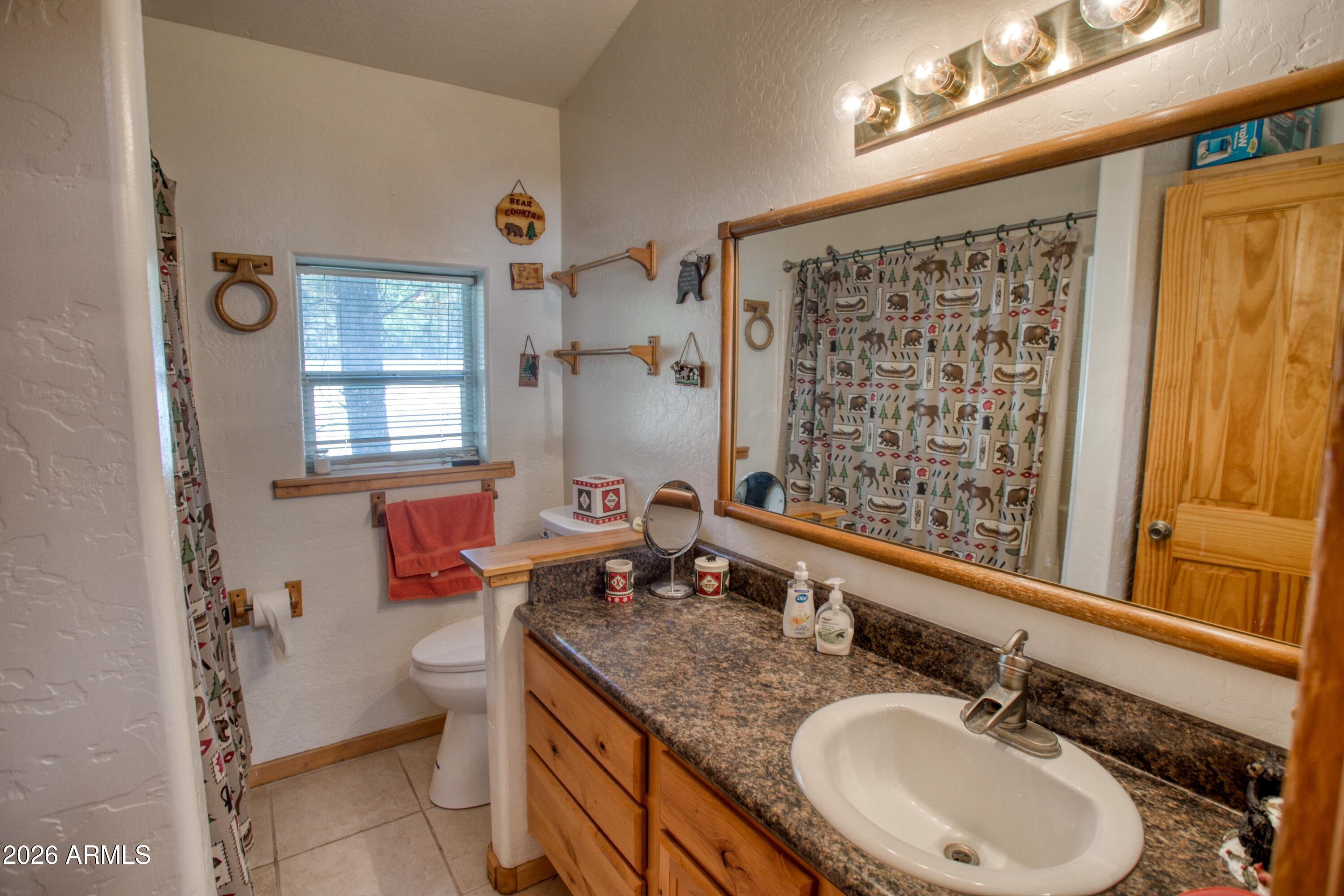 2741 Spring Drive Lakeside, AZ 85929 - Photo 17 of 30