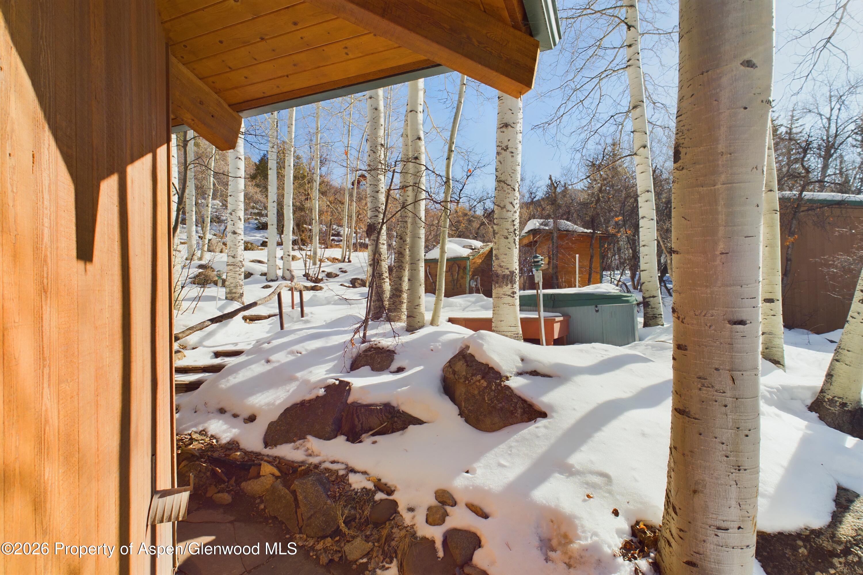 209 East Reds Road Aspen, CO 81612 - Photo 38 of 54 a view of balcony and workspace
