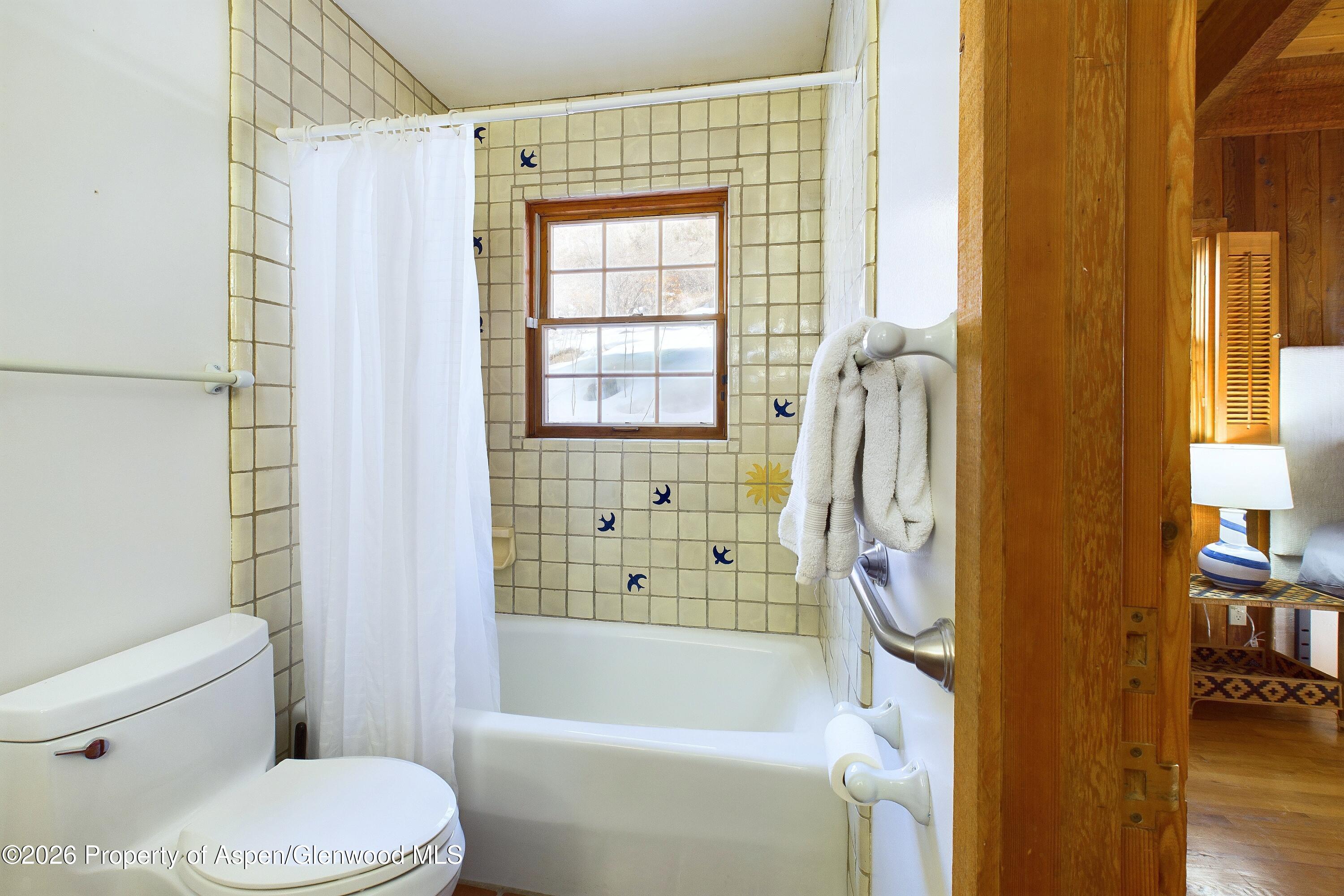 209 East Reds Road Aspen, CO 81612 - Photo 40 of 54 a bathroom with a toilet and a bathtub