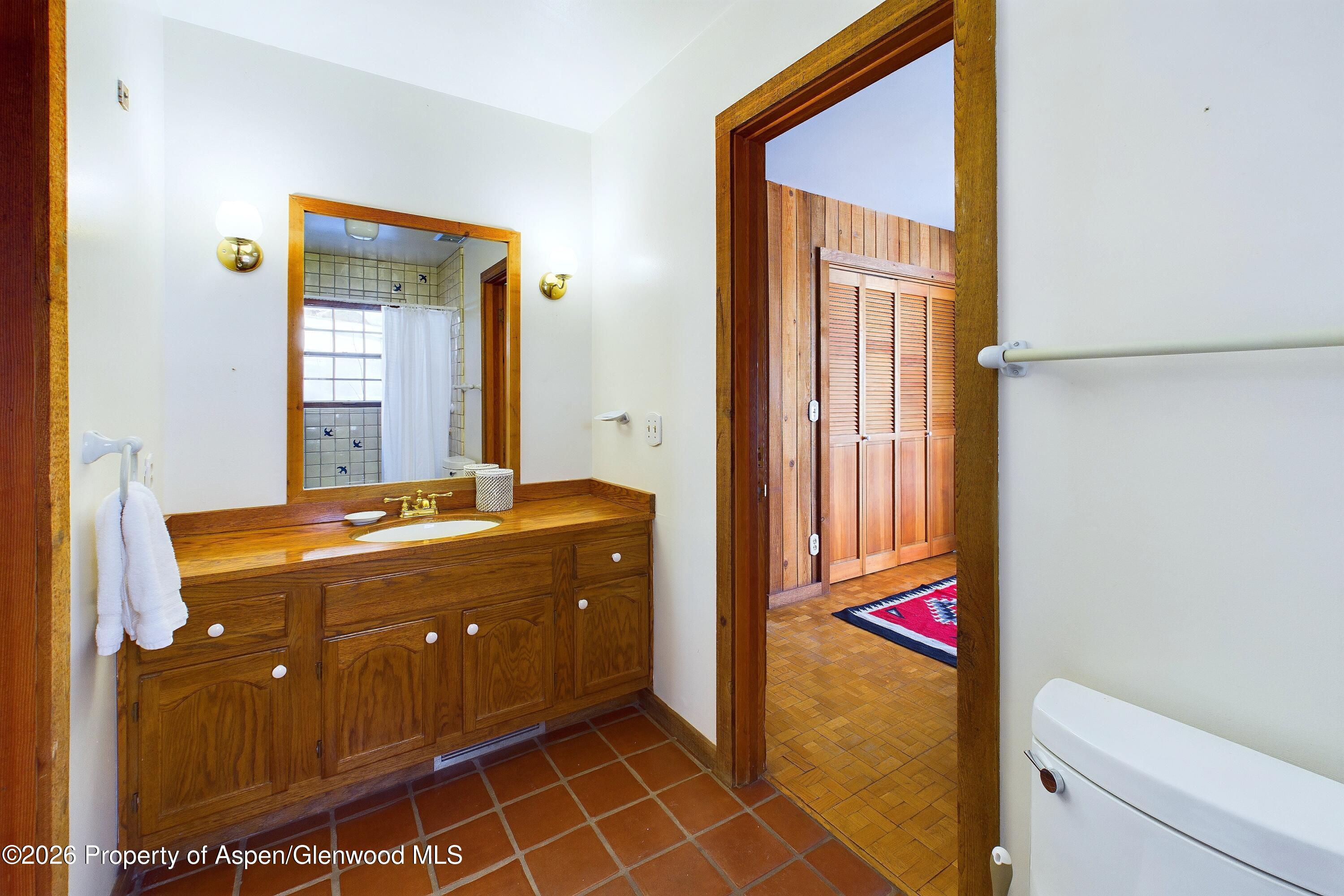 209 East Reds Road Aspen, CO 81612 - Photo 41 of 54 a bathroom with a sink and a mirror