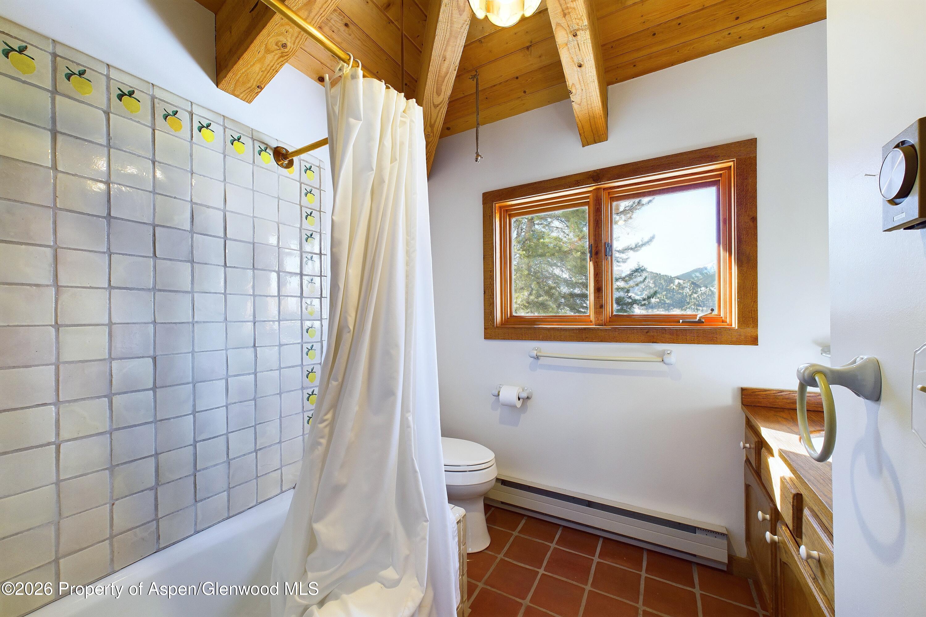 209 East Reds Road Aspen, CO 81612 - Photo 47 of 54 a bathroom with a toilet and a shower