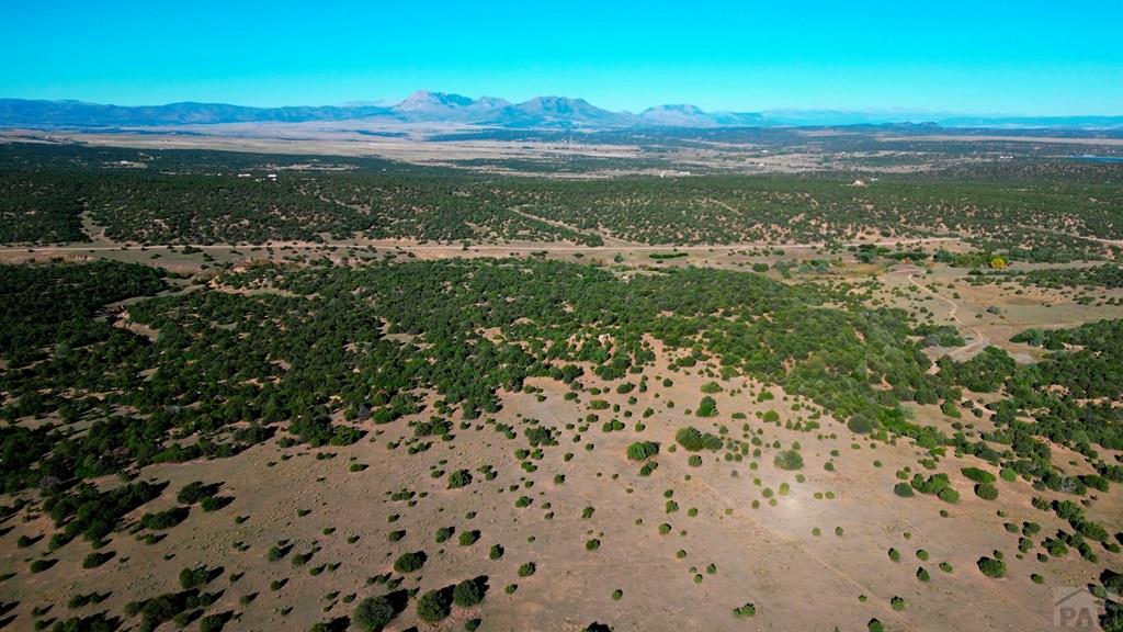 Tbd Bear Creek Road Walsenburg, CO 81089 - Photo 32 of 37
