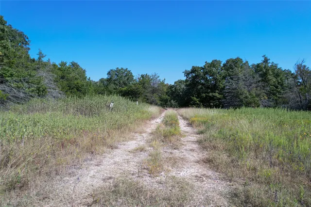 $99,000 | 0 Fm 1246, Thornton, TX 76687