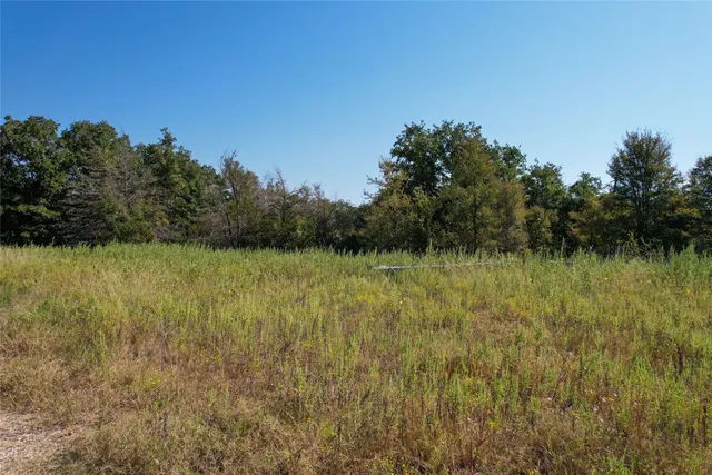 $99,000 | 0 Fm 1246, Thornton, TX 76687