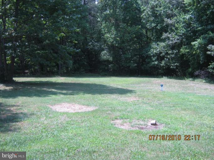 17431 Mt Zion Church Road St. Inigoes, MD 20684 - Photo 4 of 4 Wooded View / Acreage